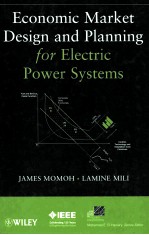 ECONOMIC MARKET DESIGN AND PLANNING FOR ELECTRIC POWER SYSTEMS