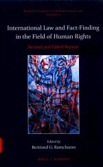 International law and fact-finding in the field of human rights