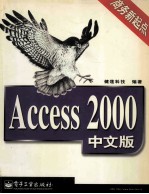 Access 2000中文版