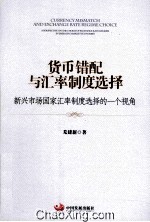 货币错配与汇率制度选择  新兴市场国家汇率制度选择的一个视角