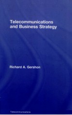 TELECOMMUNICATIONS AND BUSINESS STRATEGY