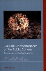 Cultural transformations of the public sphere  contemporary and historical perspective