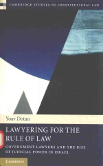 Lawyering for the rule of law