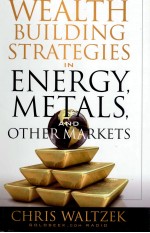 WEALTH BUILDING STRATEGIES IN ENERGY