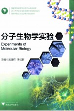 分子生物学实验