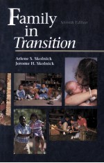 Family In Transition Rethinking Marriage