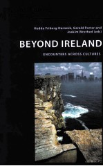 BEYOND IRELAND  ENCOUNTERS ACROSS CULTURES