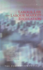 Labour law and labour market regulation