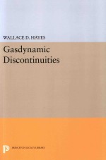 Gasdynamic Discontinuities