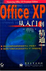 Office XP从入门到精通 中文版