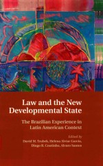 Law and the new developmental state