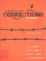 American corrections in brief