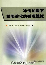 冲击加载下缺陷演化的微观模拟