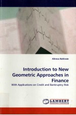 INTRODUCTION TO NEW GEOMETRIC APPROACHES IN FINANCE