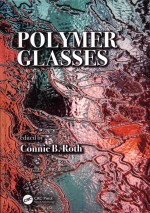 Polymer Glasses