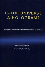 Is the Universe a Hologram?