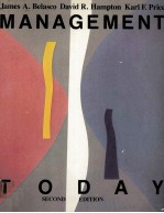 MANAGEMENT TODAY SECOND EDITION