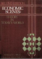 2ND EDITION ECONOMIC SCENES:THEORY IN TODAY' WORLD