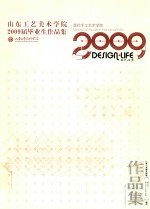 山东工艺美术学院2009届毕业生作品集