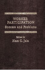 WORKER PARTICIPATION SUCCESS AND PROBLEM