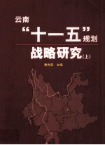 云南“十一五”规划战略研究  上