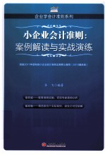 企业会计准则  案例解读与实战演练  2013最新版