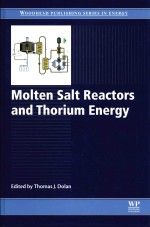 Molten Salt Reactors And Thorium Energy