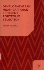 DEVELOPMENTS IN MEAN-VARIANCE EFFICIENT PORTFOLIO SELECTION