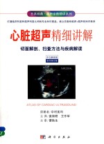 心脏超声精细讲解  切面解剖、扫查方法与疾病解读
