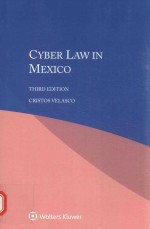 Cyber law in Mexico