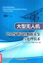 大型无人机电力线路巡检数据采集与处理技术