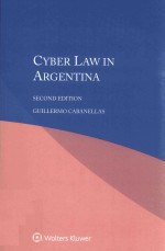 Cyber law in Argentina