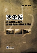 沙尘暴形成机理及监测、预报和影响评估技术研究