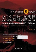 文化实践与民族发展  当代中国社会热点观察