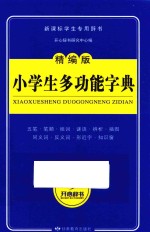 开心辞书  新课标学生专用工具书  小学生多功能字典  精编版