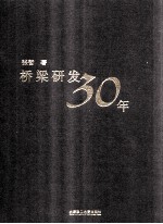 桥梁研发30年