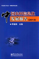 中国农村信息化发展报告  2013