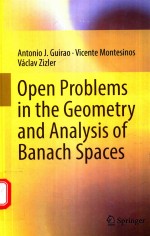 OPEN PROBLEMS IN THE GEOMETRY AND ANALYSIS OF BANACH SPACES