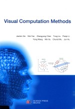 VISUAL COMPUTATION METHODS