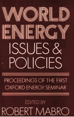 WORLD ENERGY ISSUES AND POLICIES