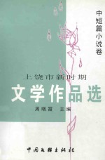 上饶市新时期文学作品选  中短篇小说卷