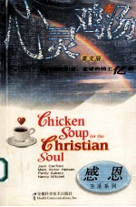 CHICKEN SOUP FOR THE CHRISTIAN SOUL