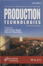 Production Technologies for Biofuels