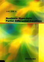 NONLINEAR HYPERBOLIC PARTIAL DIFFERENTIAL EQUATIONS