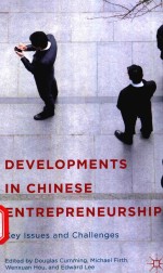 DEVELOPMENTS IN CHINESE ENTREPRENEURSHIP KEY ISSUES AND CHALLENGES