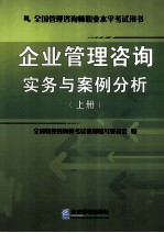 企业管理咨询实务与案例分析  上