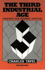 THE THIRD INDUSTRIAL AGE STRATEGY FOR BUSINESS SURVIVAL