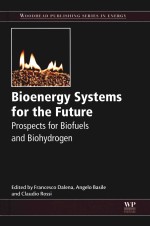 Bioenergy Systems For The Future