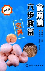 食用菌六步致富宝典  第3版