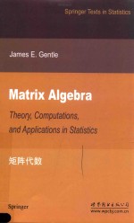 MATRIX ALGEBRA  THEORY